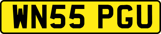 WN55PGU