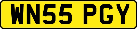 WN55PGY