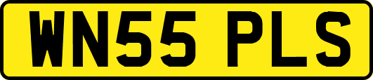 WN55PLS