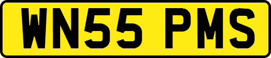 WN55PMS