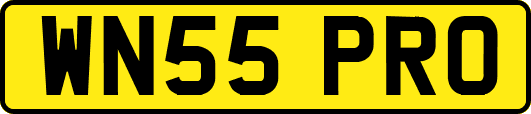 WN55PRO