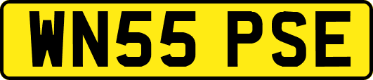 WN55PSE