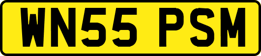 WN55PSM
