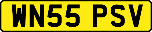 WN55PSV