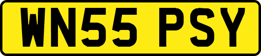WN55PSY