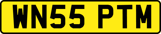 WN55PTM