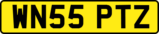 WN55PTZ