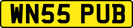 WN55PUB