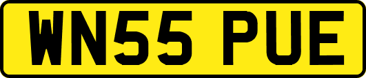 WN55PUE
