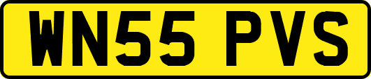 WN55PVS