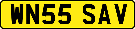 WN55SAV