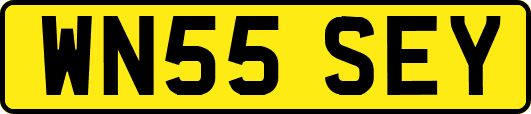 WN55SEY