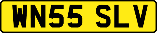WN55SLV