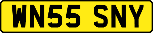 WN55SNY