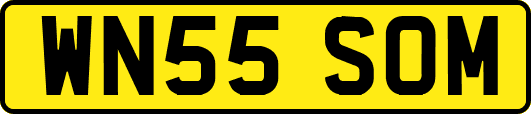 WN55SOM