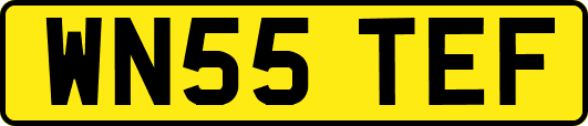 WN55TEF