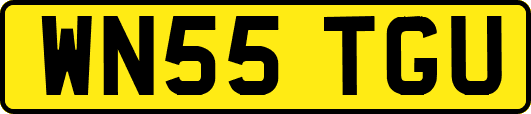 WN55TGU