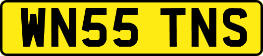WN55TNS