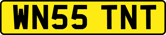 WN55TNT