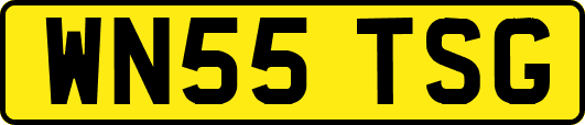 WN55TSG