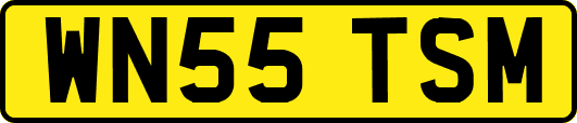 WN55TSM