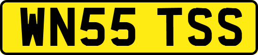 WN55TSS