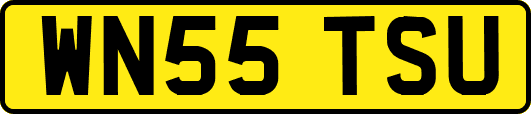 WN55TSU