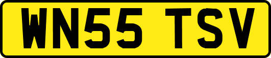 WN55TSV