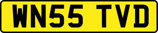 WN55TVD