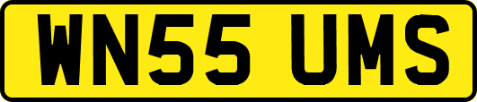 WN55UMS