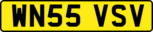 WN55VSV