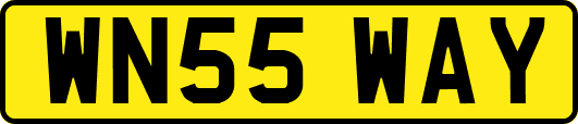 WN55WAY