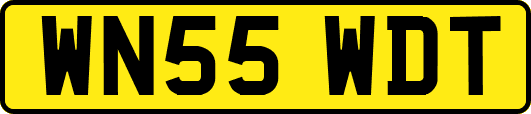 WN55WDT