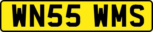 WN55WMS
