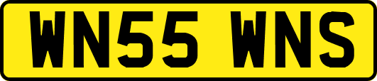 WN55WNS