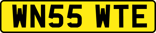 WN55WTE