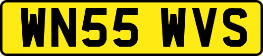 WN55WVS