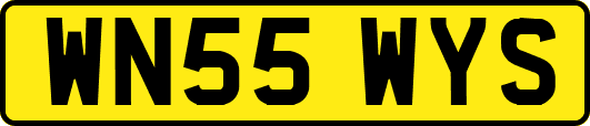 WN55WYS