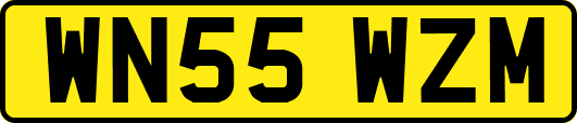 WN55WZM