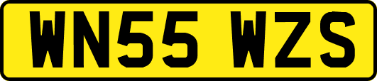 WN55WZS
