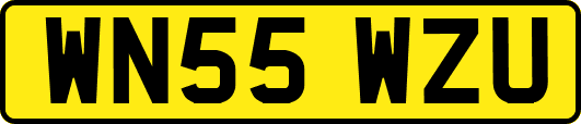 WN55WZU