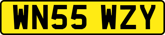 WN55WZY