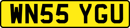 WN55YGU