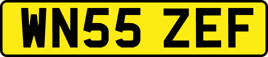 WN55ZEF