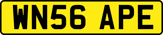 WN56APE