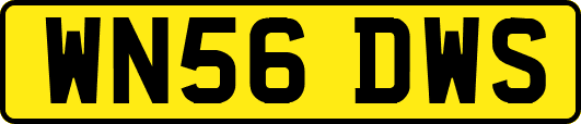 WN56DWS