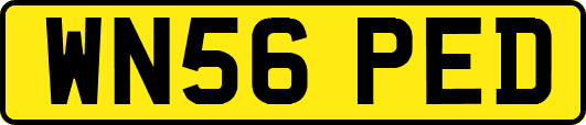 WN56PED