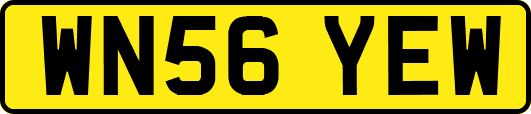 WN56YEW