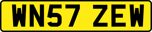WN57ZEW