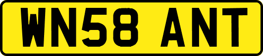 WN58ANT